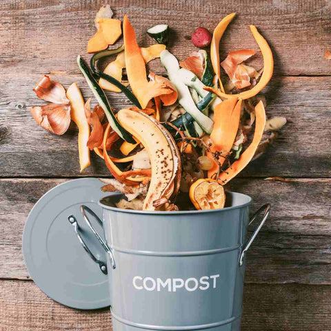 Zoom sur l'obligation de composter ses biodéchets à partir de 2024