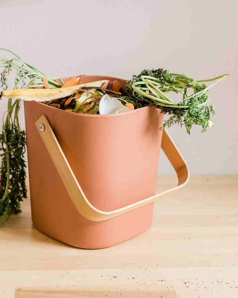 Compostage Facile: Quoi Composter et Comment Avoir un Composteur Sans Odeur