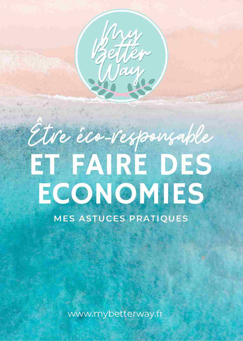 Comment être éco-responsable et faire des économies