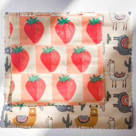 beewrap français alternative plastique